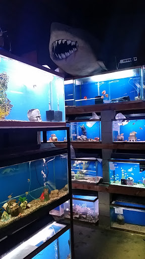 Tropical Fish Store «Midway Tropical Fish & Pets», reviews and photos, 24101 Pacific Hwy S, Kent, WA 98032, USA