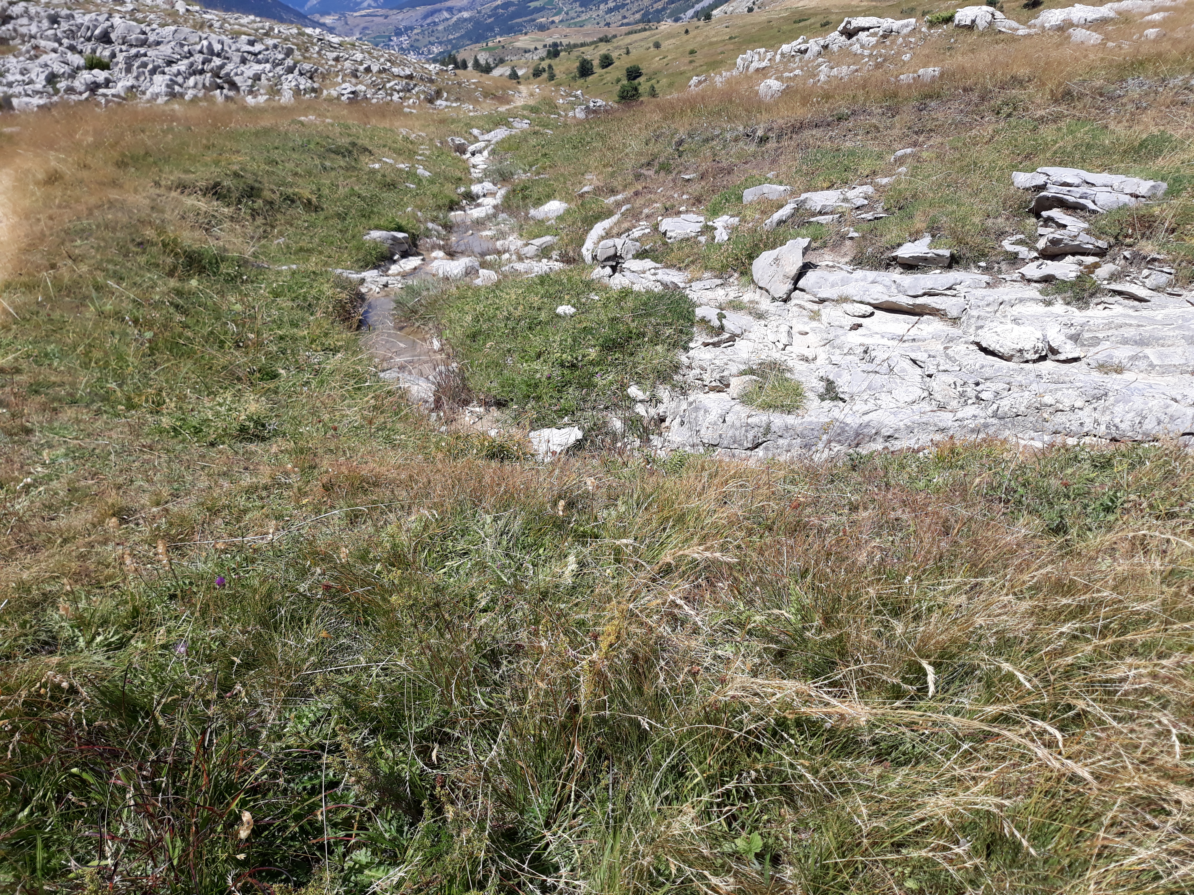Photo n° 16 de l'avis de Thierry.h fait le 12/08/2023 à 21:09