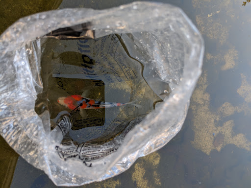 Pet Supply Store «Petco Animal Supplies», reviews and photos, 3194 FM407, Highland Village, TX 75077, USA