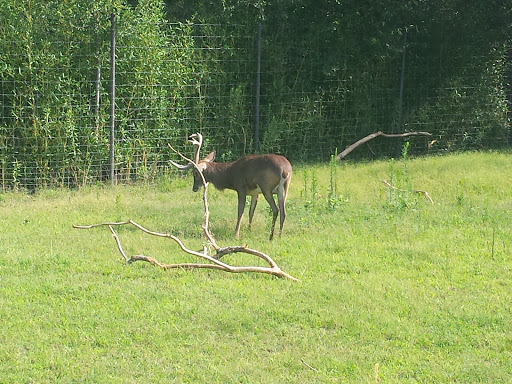 Zoo «Sedgwick County Zoo», reviews and photos, 5555 Zoo Boulevard, Wichita, KS 67212, USA