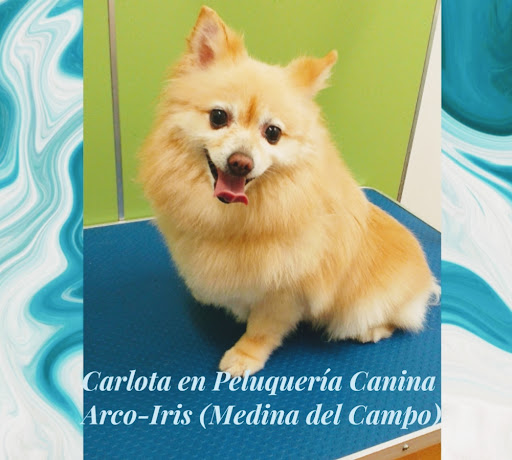 Peluquería Canina Arco-Iris - Medina del Campo
