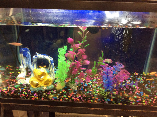 Pet Store «Oasis Tropicals», reviews and photos, 507 Commerce St, Pleasanton, TX 78064, USA