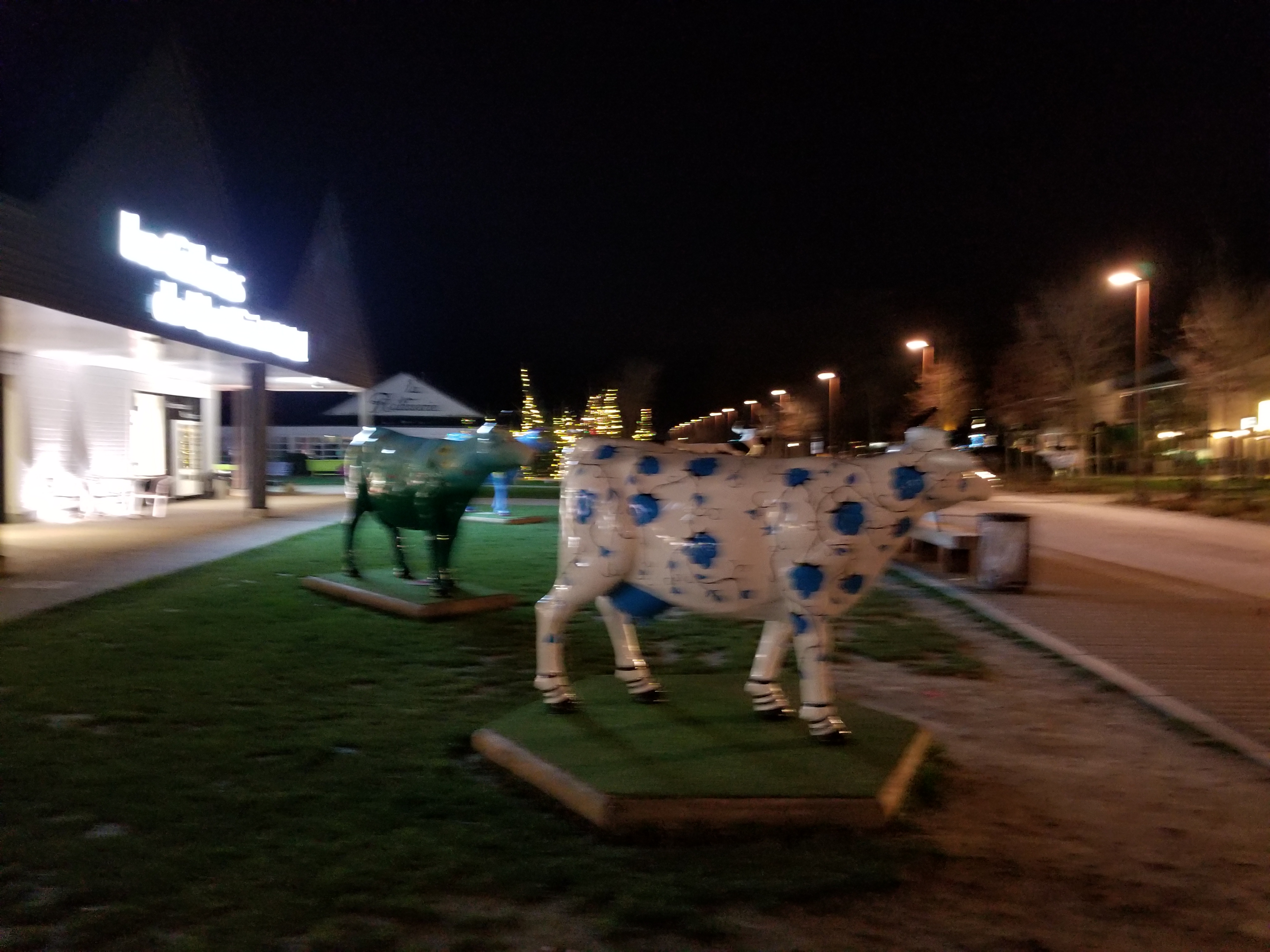 Photo n° 11 de l'avis de T..i fait le 26/02/2019 à 03:19