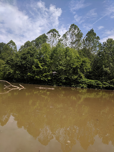 Canoe & Kayak Store «West River Paddle Sports», reviews and photos, 655 W River Rd, Vermilion, OH 44089, USA