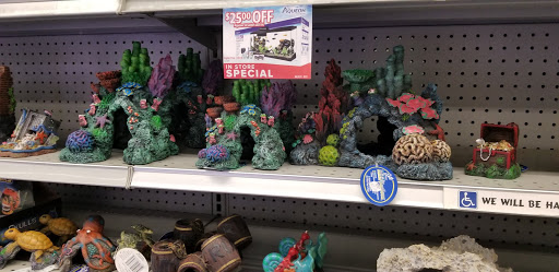 Pet Supply Store «Petland Discounts - Greenpoint», reviews and photos, 846 Manhattan Ave, Brooklyn, NY 11222, USA