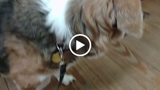 General Store «Mast General Store Waynesville», reviews and photos, 63 N Main St, Waynesville, NC 28786, USA