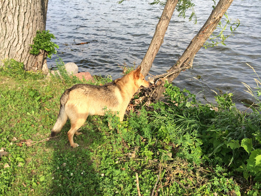 Park «Yahara Place Park», reviews and photos, 2025 Yahara Pl, Madison, WI 53704, USA