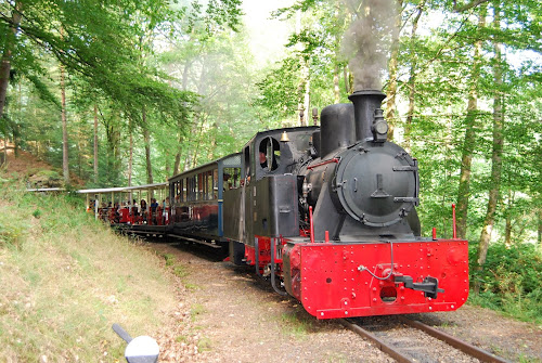 Train Forestier d'Abreschviller en Moselle à Abreschviller
