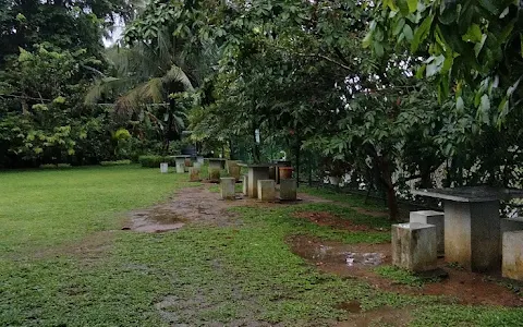 Seethawaka kelani nadee little park image