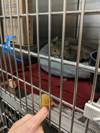 Pet Supply Store «PetSmart», reviews and photos, 4200 Derry St, Harrisburg, PA 17111, USA