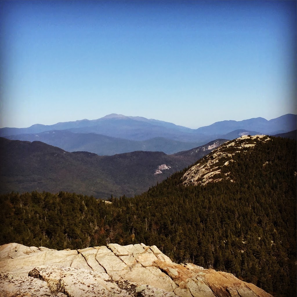 Restore Total Body 02108