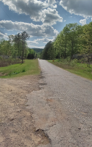 Department Store «Walmart Supercenter», reviews and photos, 1501 Skyland Blvd E, Tuscaloosa, AL 35405, USA