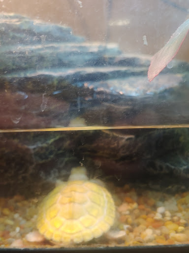 Pet Store «Wildside Pets», reviews and photos, 1042 N Higley Rd #105, Mesa, AZ 85205, USA