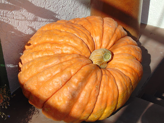 Plats et boissons hôtels Hotel Schleifmühle 37603 Holzminden