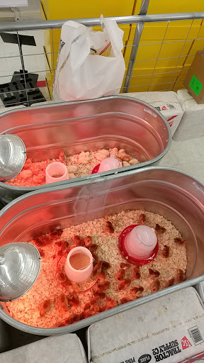 Home Improvement Store «Tractor Supply Co.», reviews and photos, 315 Deo Dr, Newark, OH 43055, USA