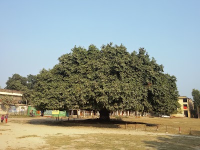 Photos of Char Belabo Senior Fazil Madrasha