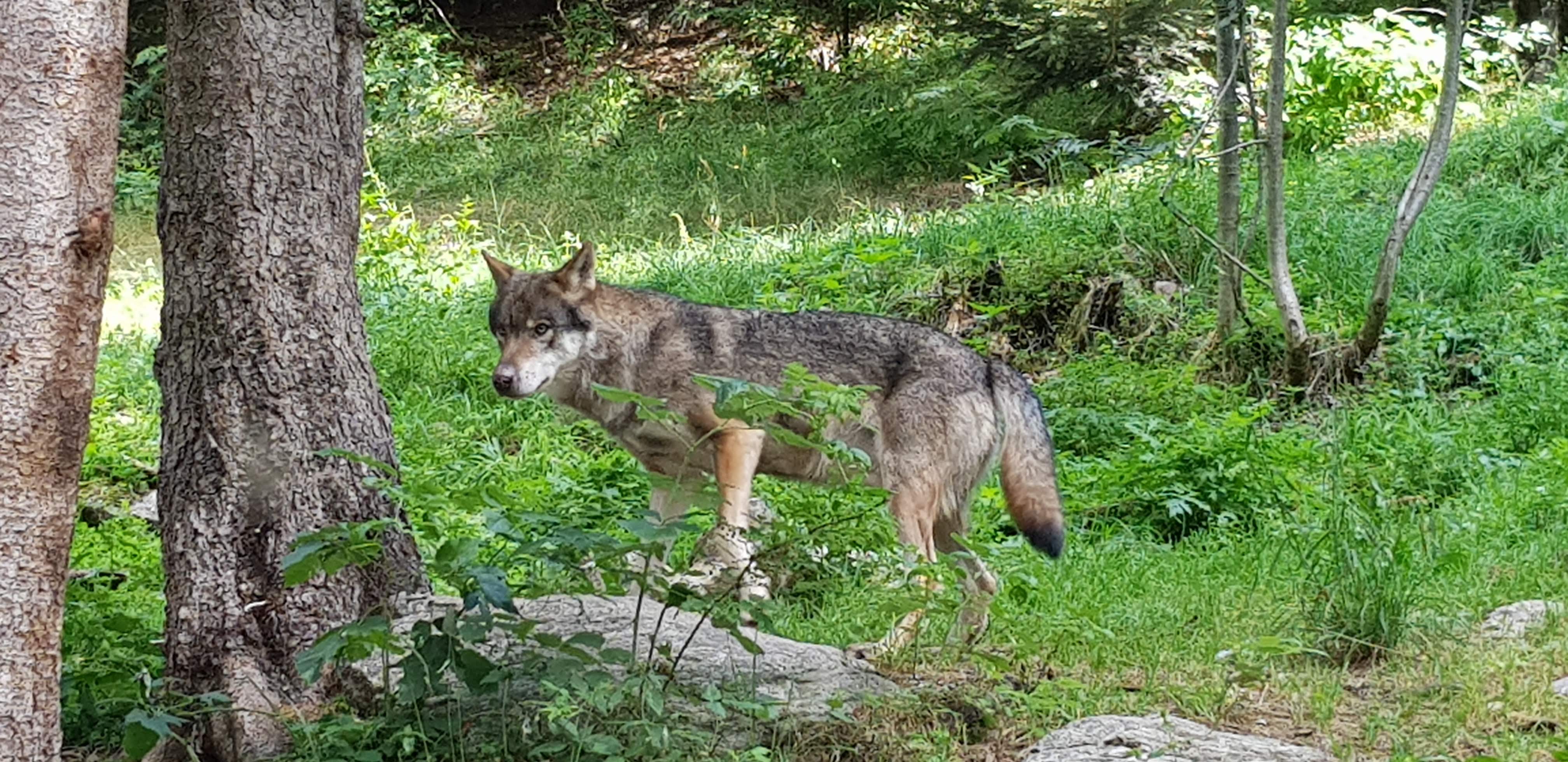Photo n° 5 de l'avis de Denny.a fait le 23/08/2019 à 07:52