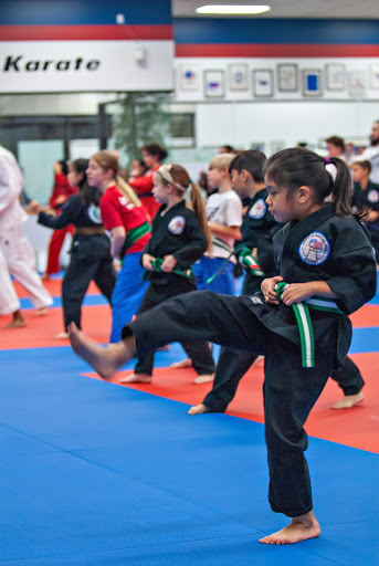 American Martial Arts Academy image