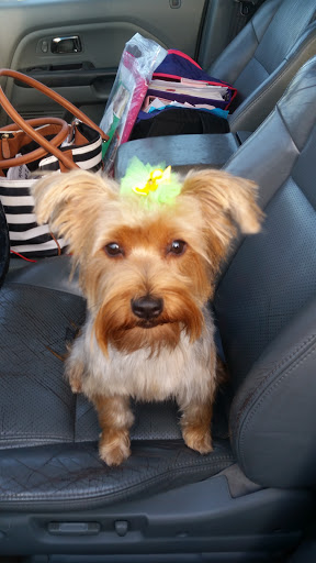 Pet Supply Store «PetSmart», reviews and photos, 9342 WI-16, Onalaska, WI 54650, USA