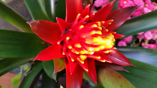 Hardware Store «Proctor Ace Hardware», reviews and photos, 5723 University Blvd W, Jacksonville, FL 32216, USA