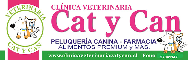 Clinica veterinaria Cat y Can - Veterinario