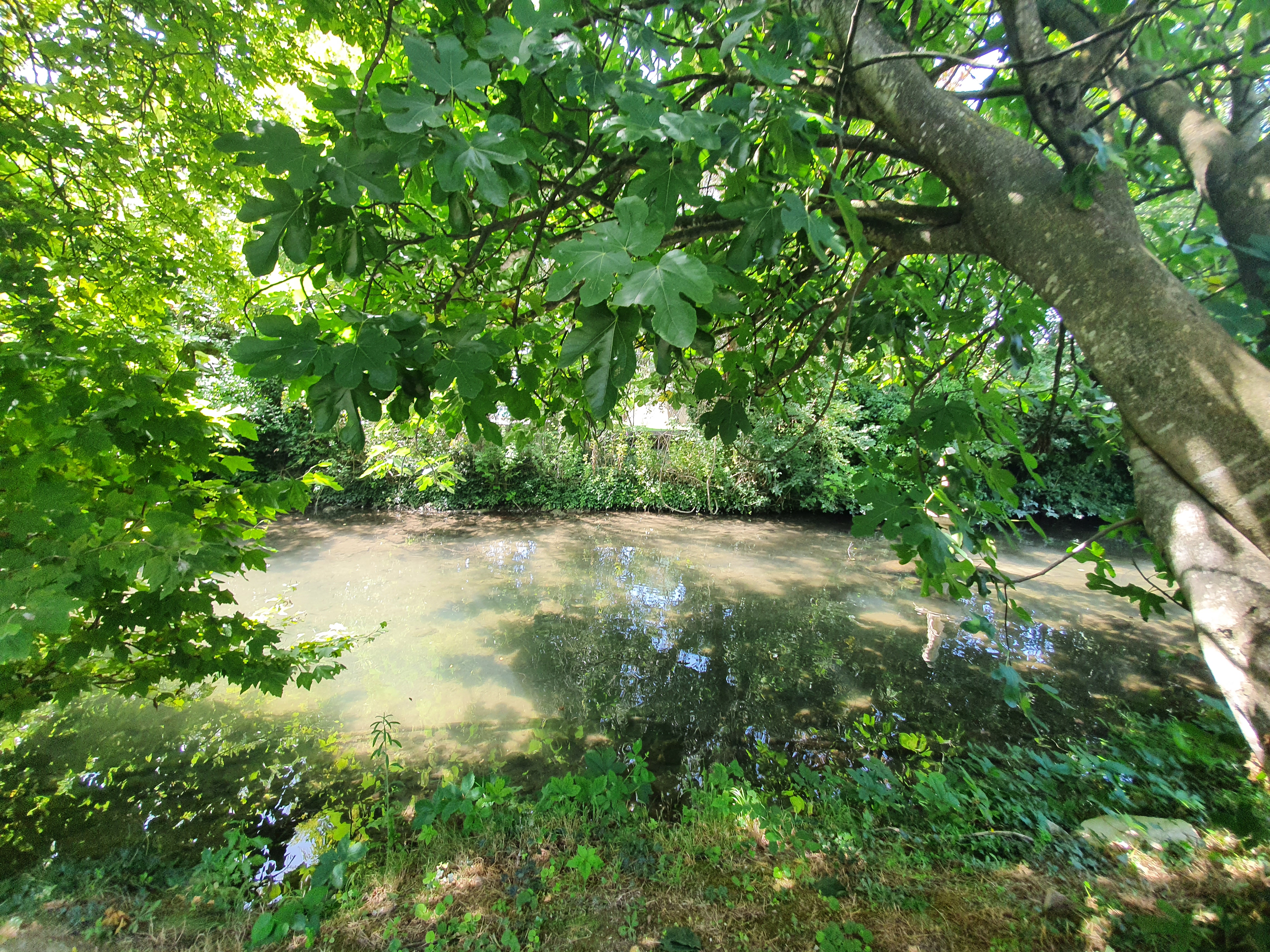 Photo n° 1 de l'avis de Muriel.u fait le 15/08/2021 à 19:32