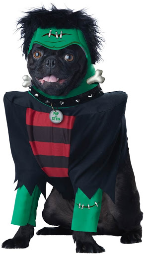 Gift Shop «Aahs! The Ultimate Gift Store», reviews and photos, 15960 Ventura Blvd, Encino, CA 91436, USA