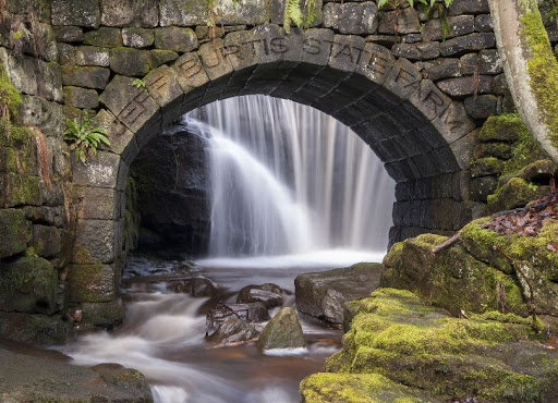 Insurance Agency «State Farm: Jeff Burtis», reviews and photos