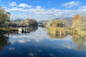 Rotary Marsh Park image