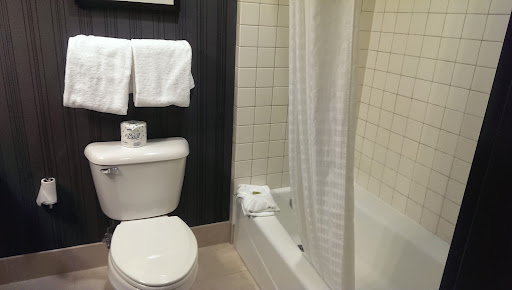 Water Park «Soaring Eagle Waterpark and Hotel», reviews and photos, 5665 E Pickard Rd, Mt Pleasant, MI 48858, USA