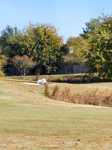 Public Golf Course «Cypress Lakes Golf Course», reviews and photos, 18700 Cypresswood Dr, Cypress, TX 77429, USA