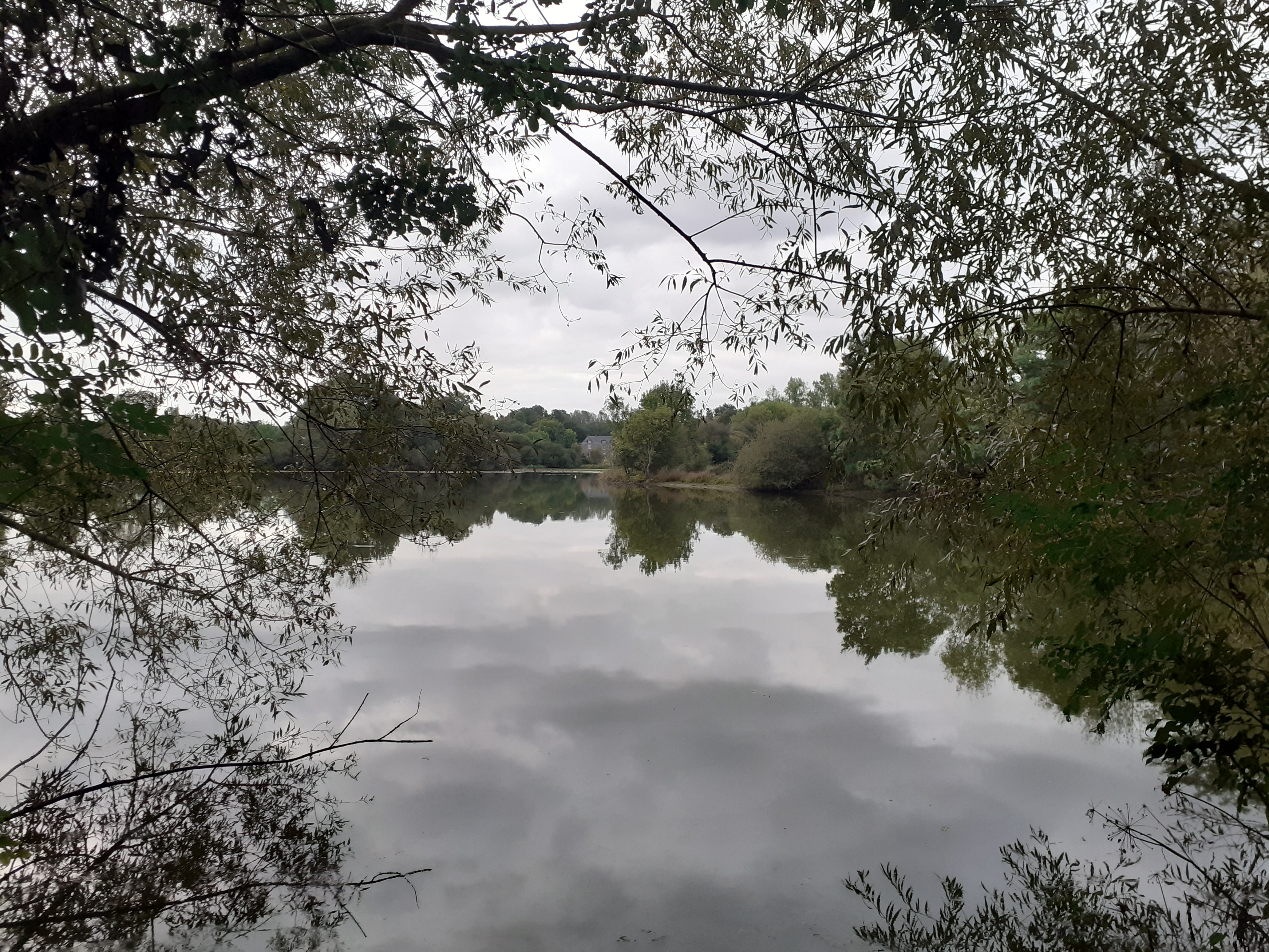 Photo n° 16 de l'avis de Laëtitia.e fait le 02/10/2023 à 06:38