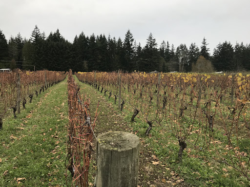 Winery «Bainbridge Vineyards», reviews and photos, 8989 NE Day Rd, Bainbridge Island, WA 98110, USA