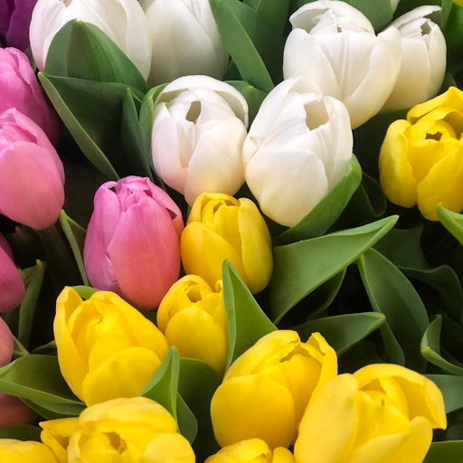 Florist «Plumeria Botanical Boutique», reviews and photos, 1364 W Michigan Ave, Battle Creek, MI 49037, USA