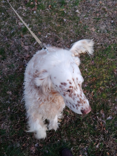 Home Improvement Store «The Home Depot», reviews and photos, 2021 Harrodsburg Rd, Lexington, KY 40504, USA