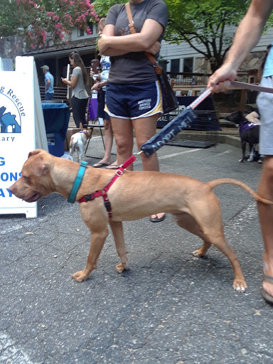 Nature Preserve «Blue Heron Nature Preserve», reviews and photos, 4055 Roswell Rd NE, Atlanta, GA 30342, USA