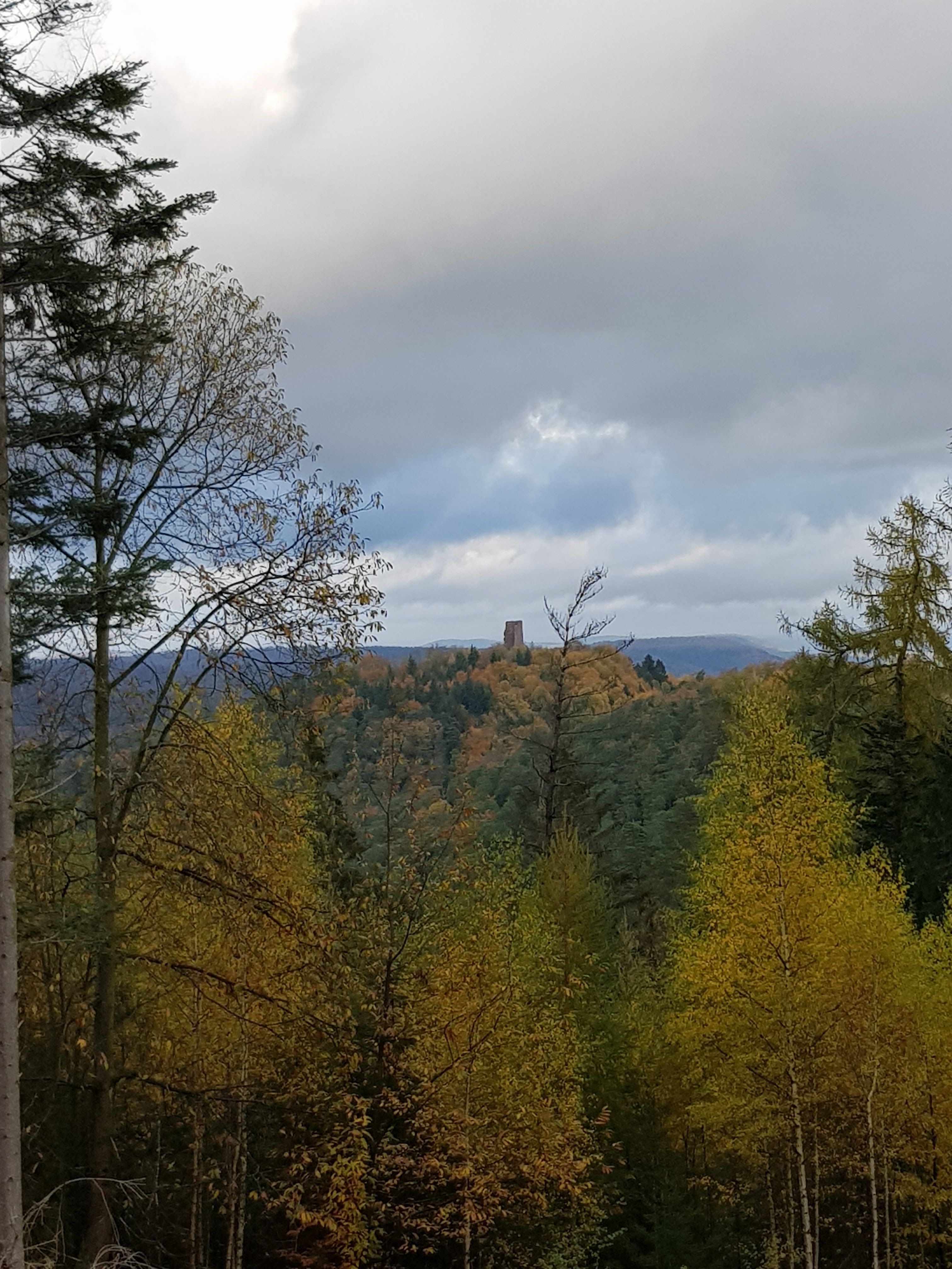 Photo n° 20 de l'avis de Roland.c fait le 09/11/2019 à 18:18
