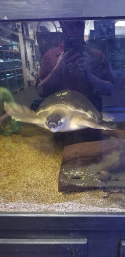 Aquarium «Jays Aquatics», reviews and photos, 10 Lawrence Rd, Salem, NH 03079, USA