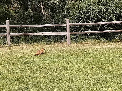 Golf Club «EagleVail Golf Club», reviews and photos, 459 Eagle Drive, Avon, CO 81620, USA