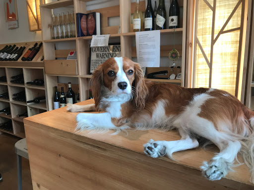 Wine Store «Thirst Wine Merchants», reviews and photos, 11 Greene Ave, Brooklyn, NY 11238, USA