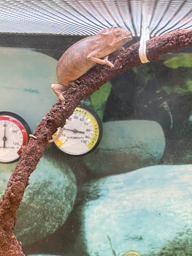 Pet Supply Store «Petco», reviews and photos, 149 Gravois Bluffs Plaza Dr, Fenton, MO 63026, USA