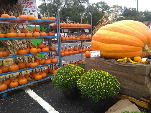 Florist «Metropolitan Plant & Flower», reviews and photos, 840 NJ-17, Paramus, NJ 07652, USA