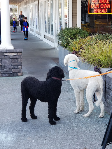 Shopping Mall «Harbour Pointe Shopping Center», reviews and photos, 11706 Mukilteo Speedway, Mukilteo, WA 98275, USA