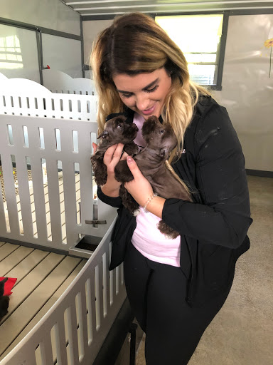 Pet Store «Furry Babies Inc», reviews and photos, 3340 Mall Loop Dr, Joliet, IL 60431, USA