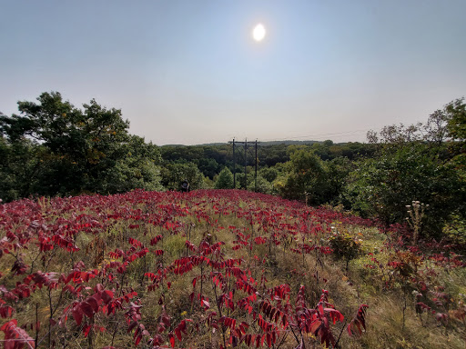 Nature Preserve «St. Croix Savanna Scientific and Natural Area (SNA)», reviews and photos, Osprey Blvd, Bayport, MN 55003, USA