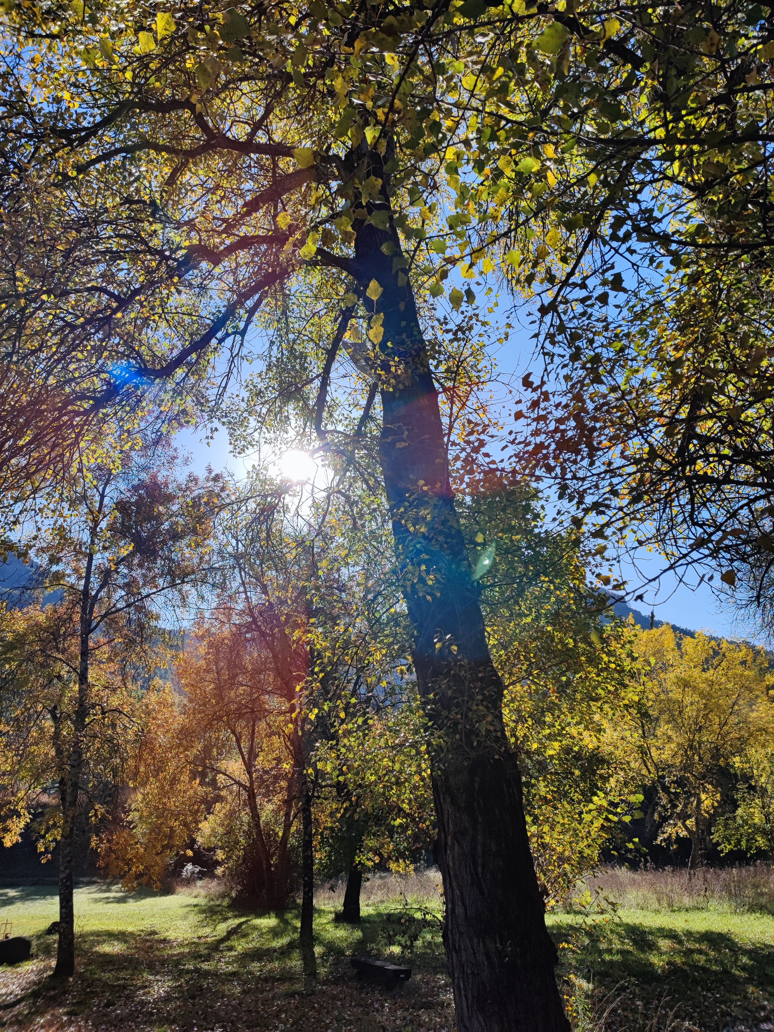 Photo n° 13 de l'avis de cyril.h fait le 16/07/2018 à 12:01