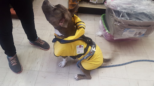 Tropical Fish Store «Petland Discounts - Ridgewood», reviews and photos, 55-52 Myrtle Ave, Queens, NY 11385, USA