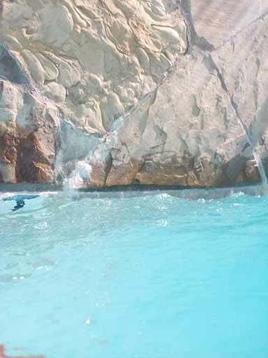 Water Park «Water Works Park», reviews and photos, 2400 Long Rd, Denton, TX 76208, USA