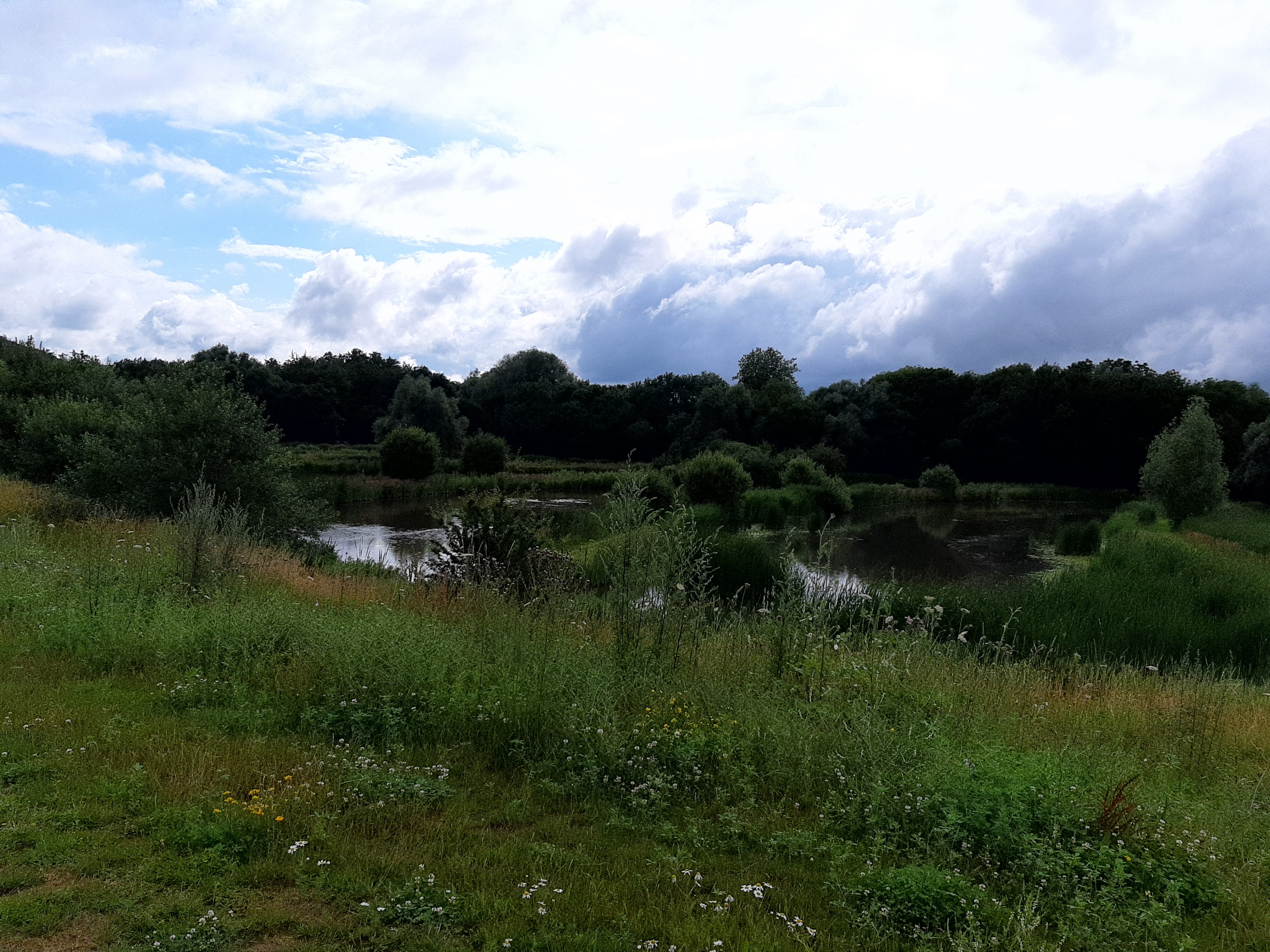 Photo n° 3 de l'avis de mickael.a fait le 13/07/2021 à 12:04
