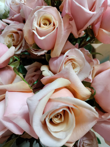 Wholesale Florist «Pennock Floral Tri - State Co», reviews and photos, 7135 Colonial Ln, Pennsauken Township, NJ 08109, USA